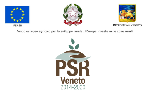 PSR
